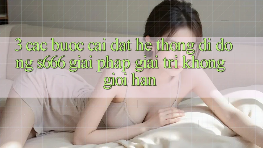 3. Các bước cài đặt Hệ thống di động S666 - Giải pháp giải trí không giới hạn