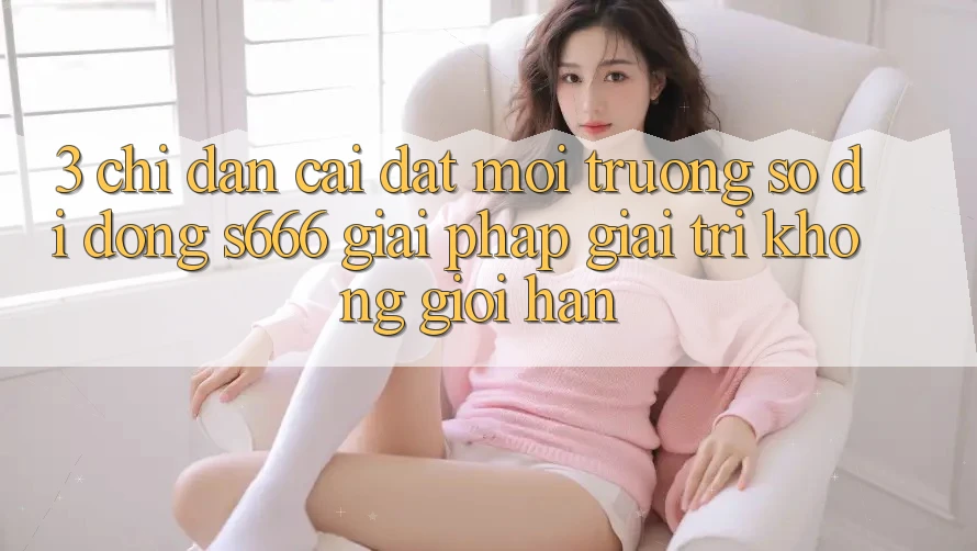 3. Chỉ dẫn cài đặt Môi trường số di động S666 - Giải pháp giải trí không giới hạn