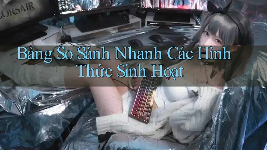 Bảng So Sánh Nhanh Các Hình Thức Sinh Hoạt
