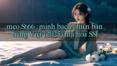 mẹo S666 minh bạch phiên bản tiếng Việt (2025) mã hóa SSL