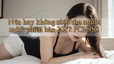 Nên hay không s666 cho người mới phiên bản 2027 PCI DSS