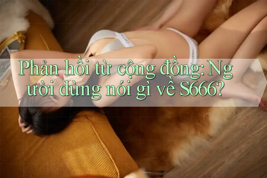 Phản hồi từ cộng đồng: người dùng nói gì về s666?