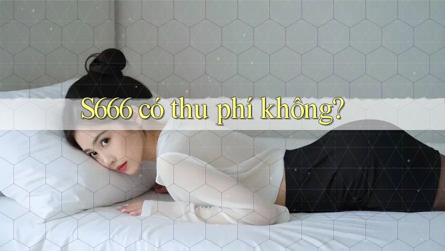 S666 có thu phí không?