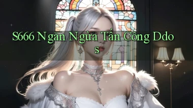 s666  ngăn ngừa tấn công ddos