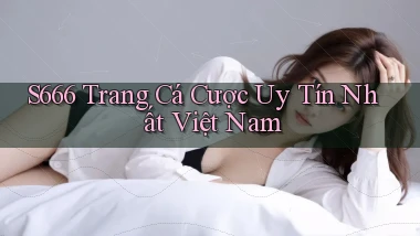 s666  trang cá cược uy tín nhất việt nam