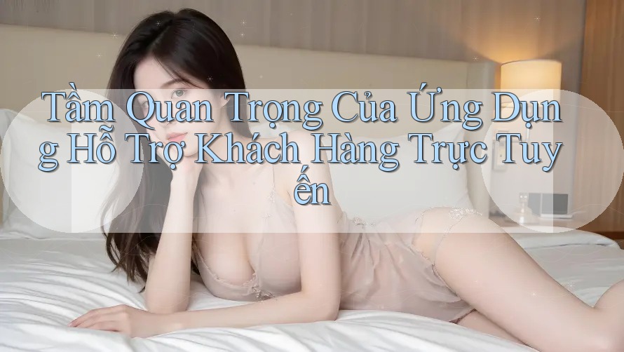 Tầm Quan Trọng Của Ứng Dụng Hỗ Trợ Khách Hàng Trực Tuyến Tầm Quan Trọng Của Ứng Dụng Hỗ Trợ Khách Hàng Trực Tuyến
