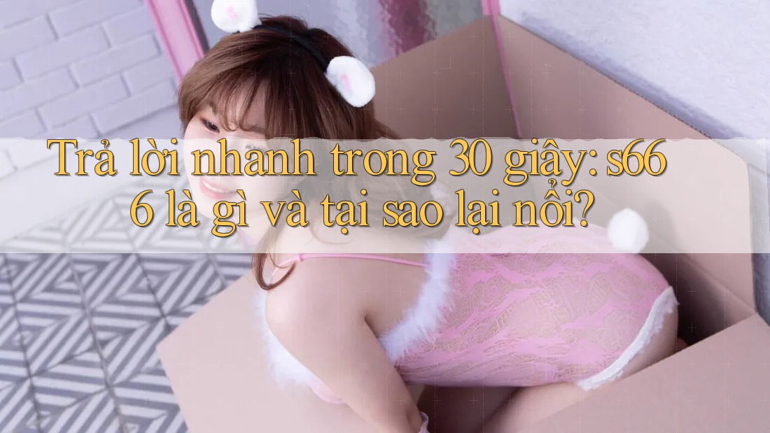 Trả lời nhanh trong 30 giây: s666 là gì và tại sao lại nổi?
