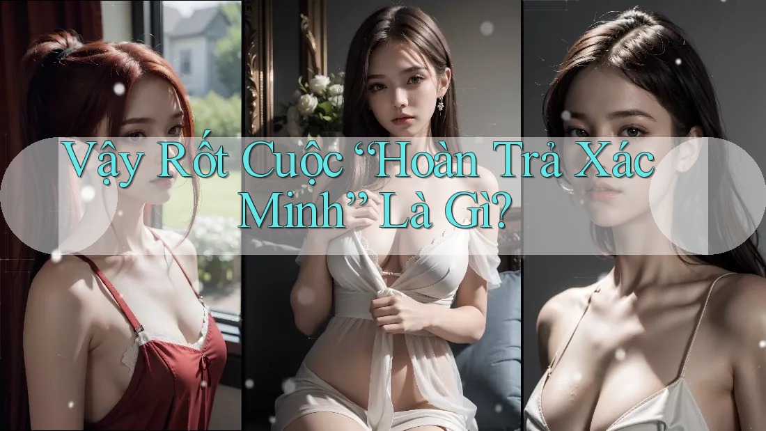 Vậy Rốt Cuộc “Hoàn Trả Xác Minh” Là Gì?